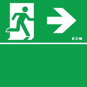 CEAG emergency light two-sided PR/BL 30m for GuideLed 11x21 LED pictogram disc