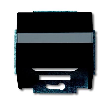 Busch-Jaeger 1758-885 central plate, with support ring black matt
