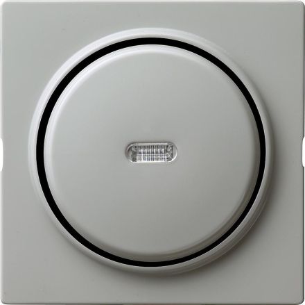 Gira 013642 push button control switch AusWe cover S-Color grey