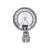 ifm electronic PG2799 Electronic analogue display1 1 bar,1 pressure sensor