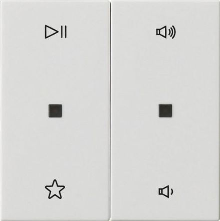 Gira 538403 2f Audioctrl Sys55 rws rocker