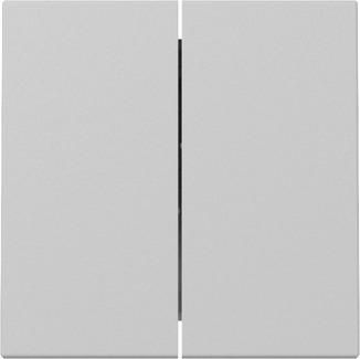 Gira 3295015 2f Sys.55 gr with rocker