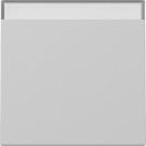 Gira 3299015 BSF Sys.55 gr with rocker