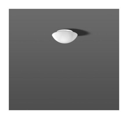 RZB 211005.002 white wall / ceiling light LB19