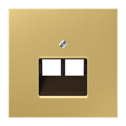 Jung ME2969-2UAC cover for IAE/UAE connection boxes 2 x 8-pin, brass, LS series, brass classic