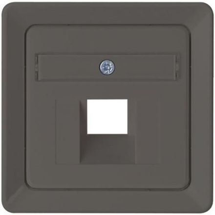 ELSO 2065211 Central plate for 1xRJ45 stainless steel effect