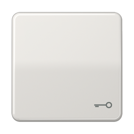 Jung CD590TLG rocker switch, symbol door, Duroplast, CD series, light grey