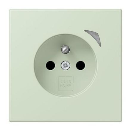 Jung BTLC1521FS218 HOME French Belgian socket