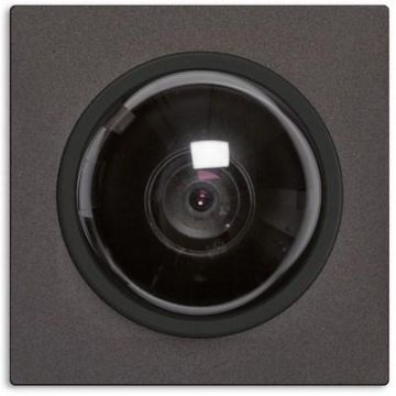 TCS AMI10620-0057 SW Dome black video camera module