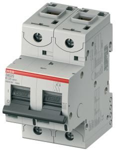 ABB Stotz-Kontakt S802U-K90, high-performance circuit breaker, 90A,K,240VAC=Icu 50kA,2P, UL 489, 2CCS862017R0907