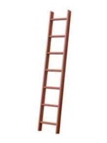 PROTEC.class 05101246 Ladders roof ladder 1x7 aluminum natural PD 17N