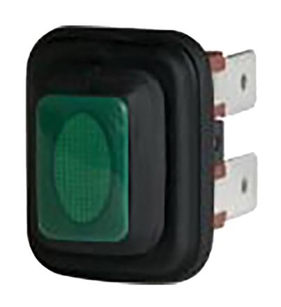 Bachmann 924.187 2-pole switch black/green