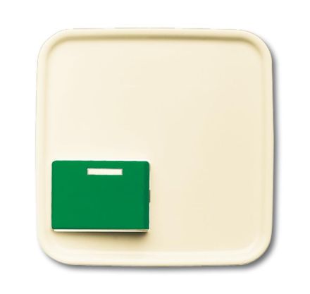 Busch-Jaeger 2CKA001724A4422 2548-642 C-212-101 SI central plate