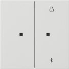 Gira 5381112 S3000 BT System 55 rws blind and timer