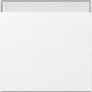 Gira 329903 BSF Sys.55 rws rocker