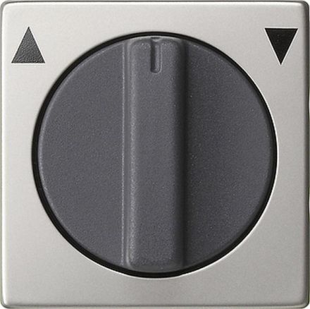 Gira 666600 Cover Toggle Time Switch + Blind 55 Stainless Steel