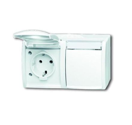 Busch-Jaeger 20/2 EWN-54 SCHUKO® socket, 2-way alpine white