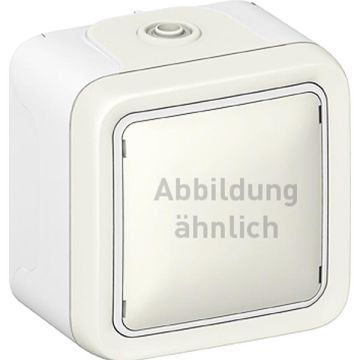 Legrand 069754 rocker switch Plexo IP55 69754 series FR AP white, (grey)