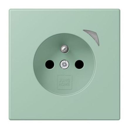 Jung BTLC1521FS217 HOME French Belgian socket