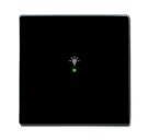 Busch-Jaeger 6231-10-81 rocker switch, 1-way, with symbol 'light' anthracite