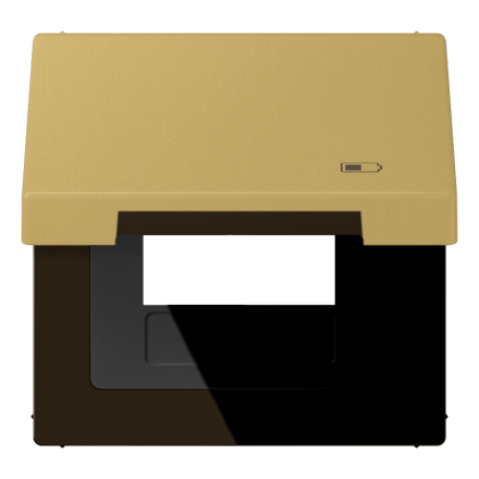 Jung ME2990KLUSBC hinged cover (with return spring) including central plate, symbol charger, vertical and horizontal mounting, LS series, brass classic