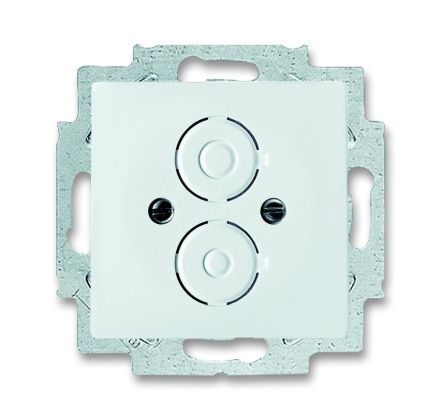 Busch-Jaeger 1748-884 central plate, with support ring studio white matt