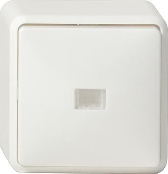 Gira 011613 rocker switch control change surface-mounted pure white
