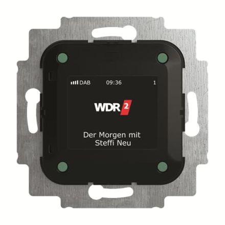 Busch-Jaeger 2CKA008200A0275 8215 U-101 DAB+ Radio