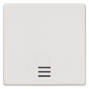 Siemens 5TG6200 rocker with window titanium white