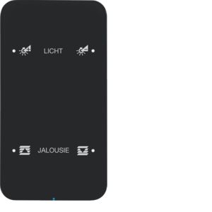 BERKER 75142165 Touch-Sensor Glass R.1 | 2-way, comfort, configured | black glass