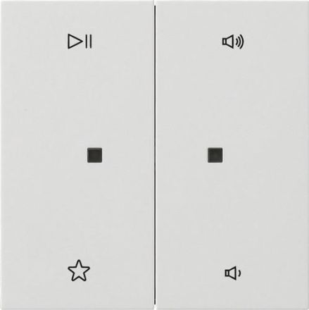 Gira 5384112 2f audio control surface switch rws rocker