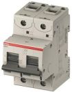 ABB Stotz-Kontakt S802S-B40, high-performance circuit breaker, 40A,B,400VAC=Icu 50kA,690VAC=Icu6kA,2P, 2CCS862001R0405