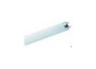 Philips 26472540 fluorescent lamp Master TL-D Eco 51W 865 1SL/25