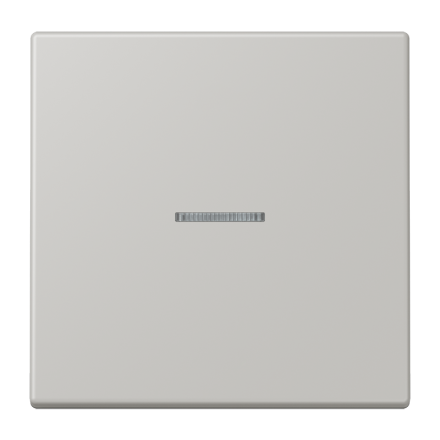 Jung BTLC17101205 JUNG HOME button 1-way, LS series, gris clair 31 ( LC32013 )