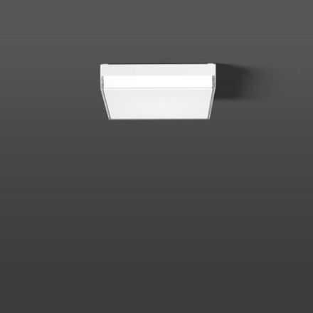 RZB 312669.002.19 Flat Slim Square LED/13-2 LED wall / ceiling light