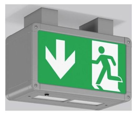 RZB 671053.004.1.04 Ceiling Rectangle 250 LED emergency light
