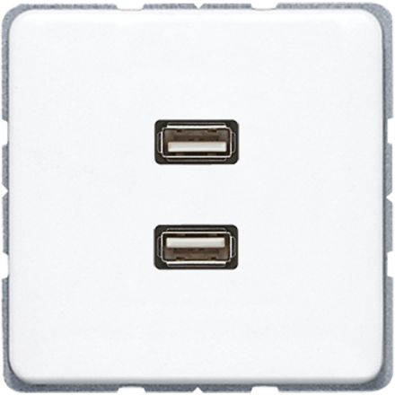 Jung MACD1153WW multimedia connection system 2 x USB 2.0, CD series, alpine white