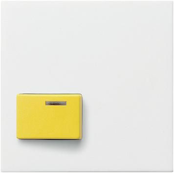 Gira 024703 cover Ackermann 73642 D System 55 pure white