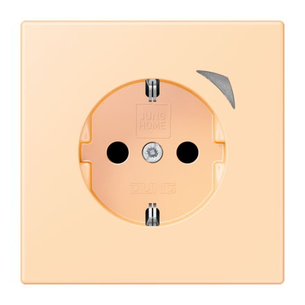 Jung BTLC1521S223 JUNG HOME SCHUKO® socket, 16 A 250 V ~, screw terminals, with function display, integrated increased contact protection, SAFETY+, thermoplastic painted ( LC32060 )