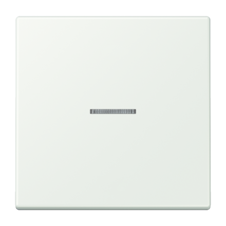 Jung BTLC17101210 JUNG HOME button 1-way, LS series, outer grey ( LC32024 )