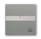 Busch-Jaeger 1764 NLI/KI-803 rocker switch, with label field, metallic grey