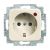 Busch-Jaeger 2310EUGL/VA-212-11 Busch-Protector® SCHUKO® socket insert, with surge protection white