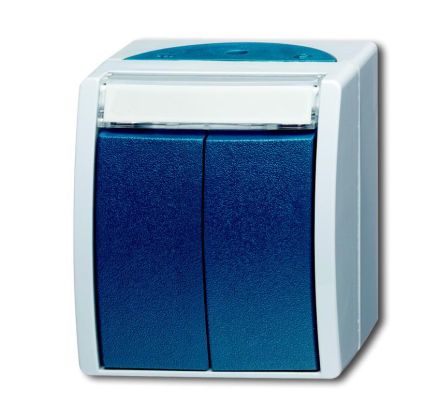 Busch-Jaeger 2621 WN-53-205-101 double button/serial button, 2 NO contacts, 1-pole (operating current) grey/blue-green