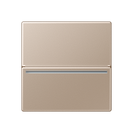 Jung ACARDRFIDCH hotel card switch RFID, without symbols, Series A, champagne