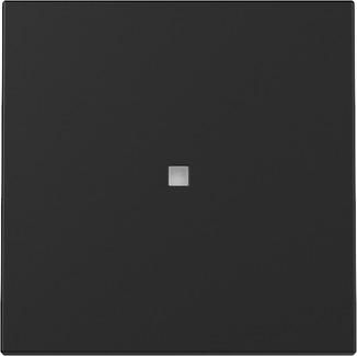 Gira 3290005 Control system 55 black with rocker