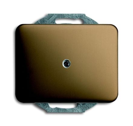 Busch-Jaeger 1749-21 central plate, with support ring bronze