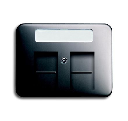 Busch-Jaeger 1800-20 central plate, with label field platinum