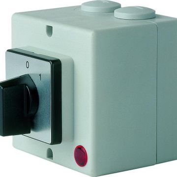 Elektra Tailfingen V2NA/L-T24/2-B-MSI cam switch