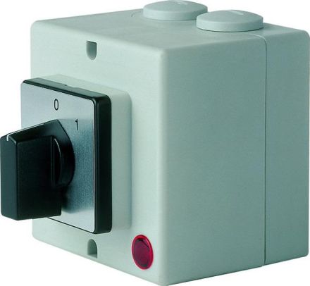 Elektra Tailfingen V2NA/L-T24/2-B-MSI cam switch
