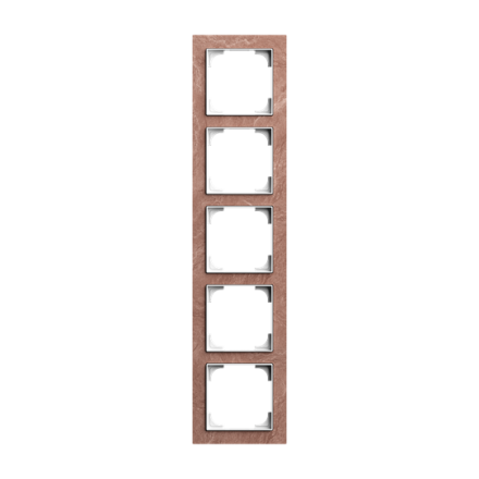 Busch-Jaeger 2CLA897500A2958 1725-4097 5-way frame